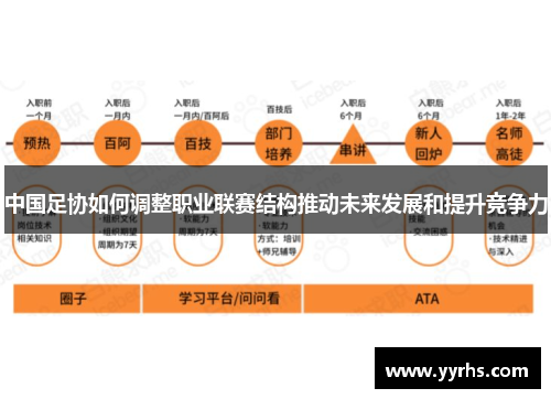 中国足协如何调整职业联赛结构推动未来发展和提升竞争力